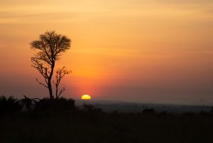 18486_Fotograf_Claus Hassing_Safari Sunset_
